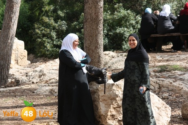 re7la7efa483 (10).JPG